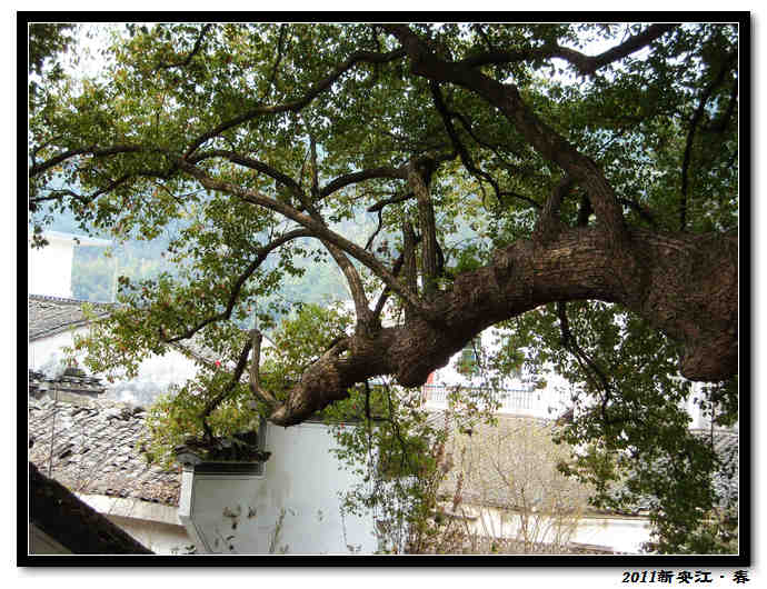 dscn8382.jpg