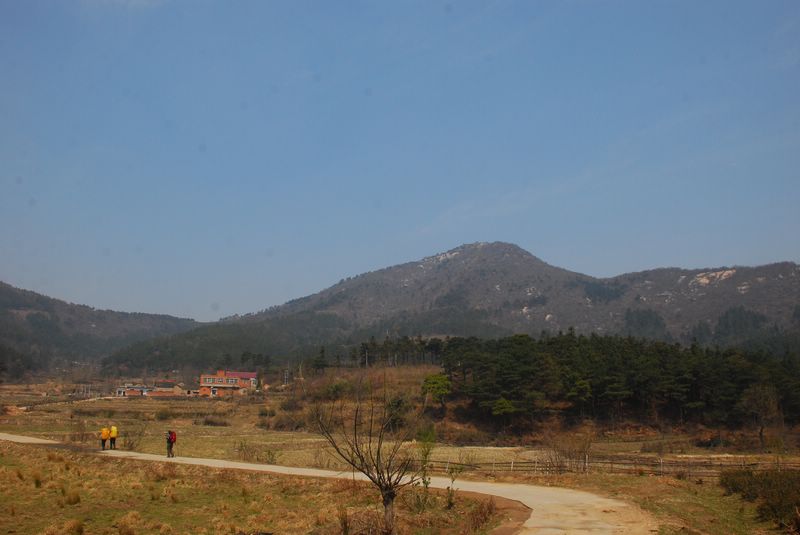 dsc_2104.jpg