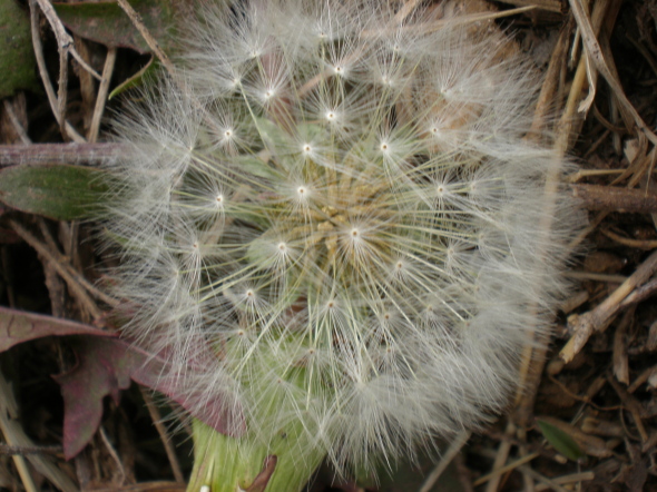 20110405_90.jpg