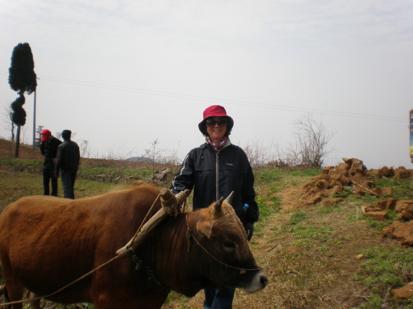 20110405_26.jpg