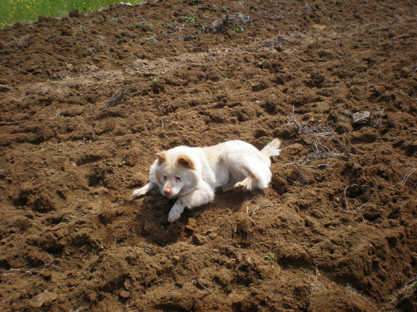 20110405_20.jpg