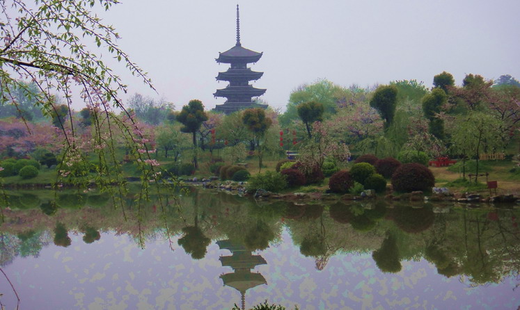dsc06420.jpg