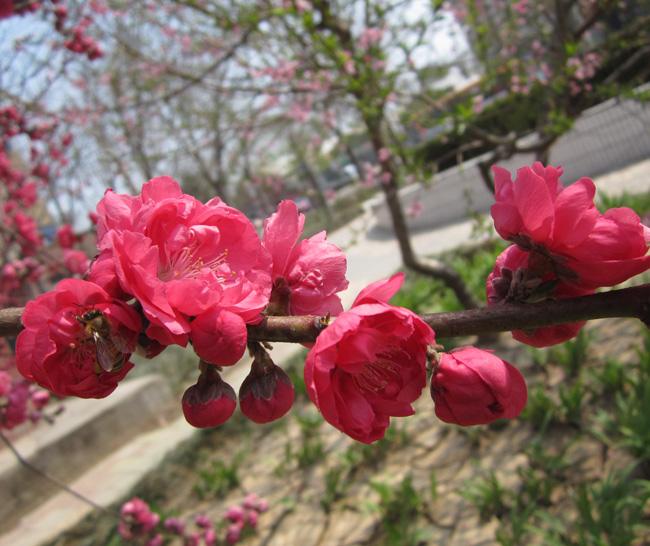 img_9674.jpg