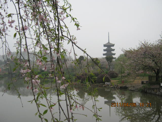 img_1929.jpg