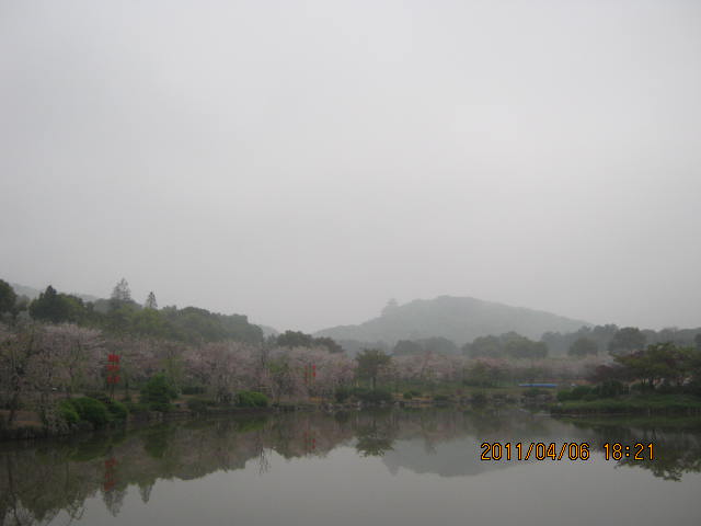 img_1930.jpg