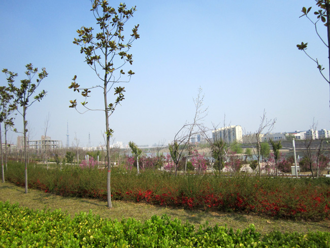 img_9721.jpg
