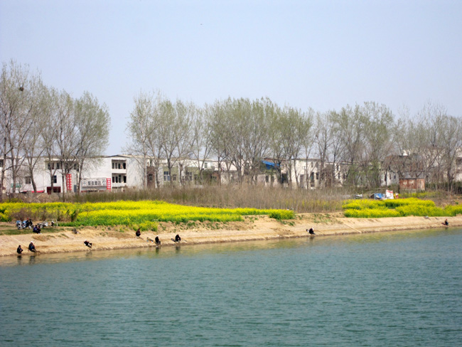img_9689.jpg