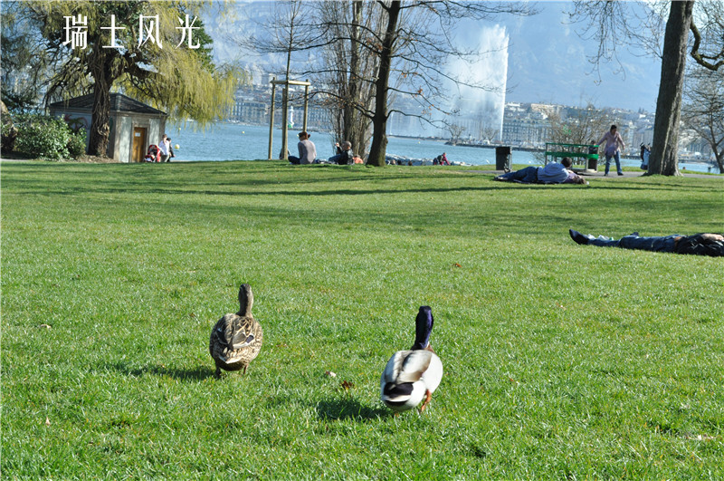 dsc_0078_.jpg