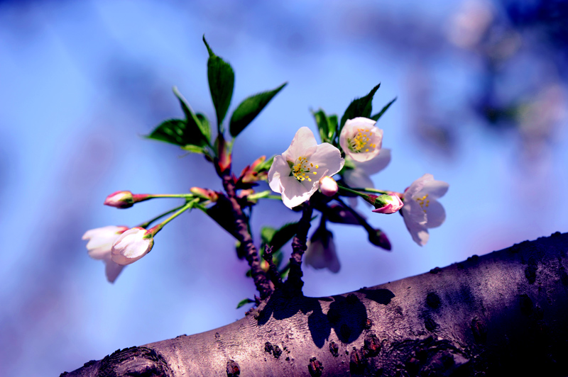 dsc_5700a.jpg