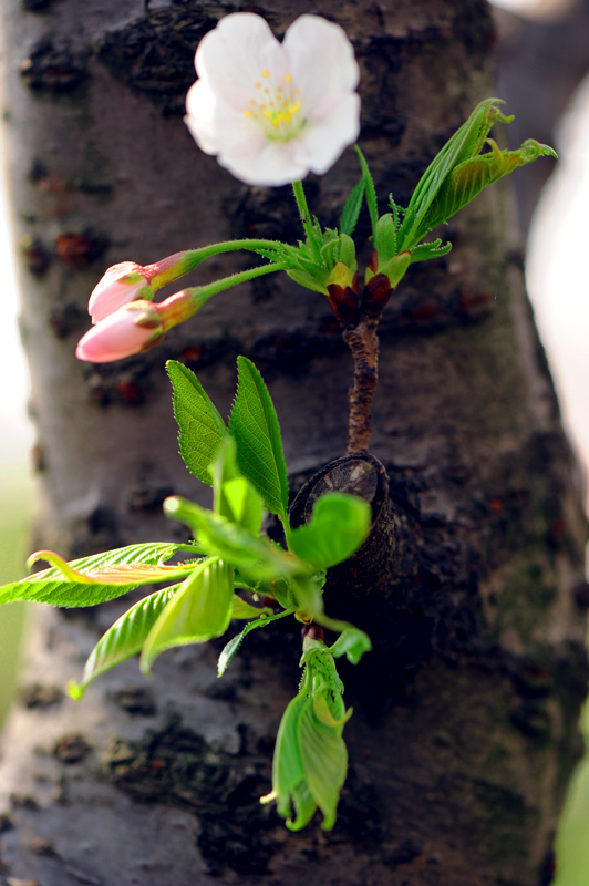 dsc_5705a.jpg