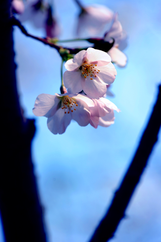 dsc_5707a.jpg