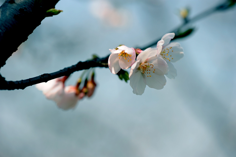 dsc_5716a.jpg