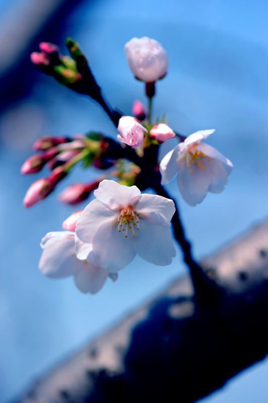 dsc_5726a.jpg