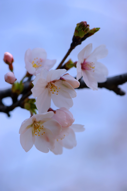 dsc_5727a.jpg