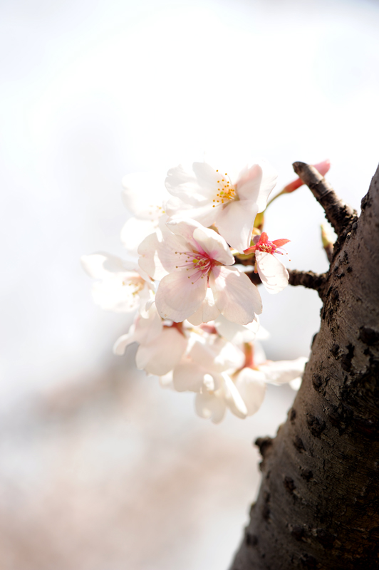 dsc_5734a.jpg