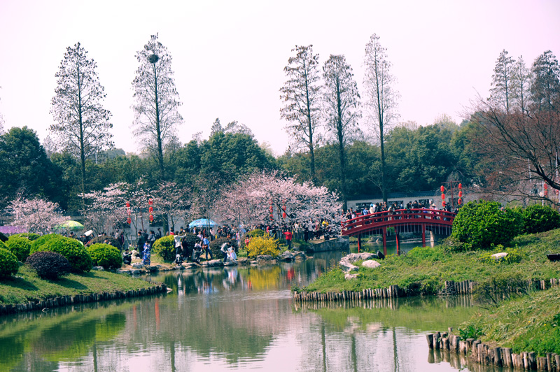 dsc_5752a.jpg