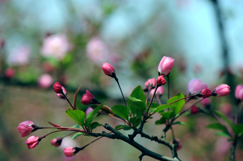 dsc_5753a.jpg