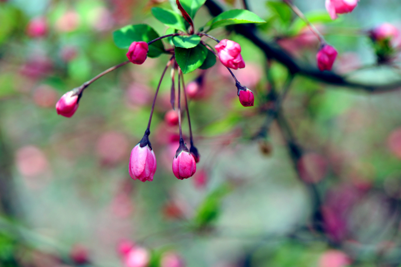 dsc_5756a.jpg