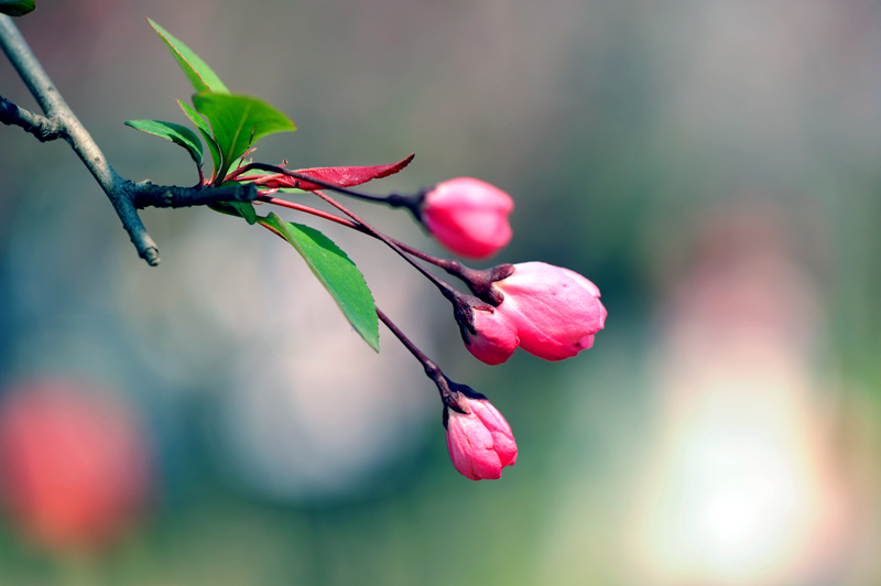 dsc_5757a.jpg