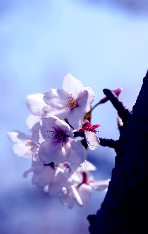 dsc_5735a.jpg