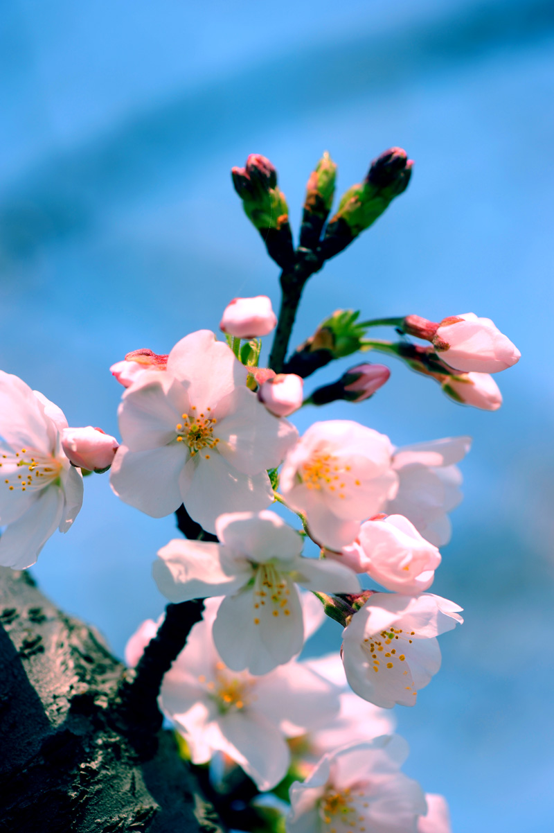 dsc_5736a.jpg