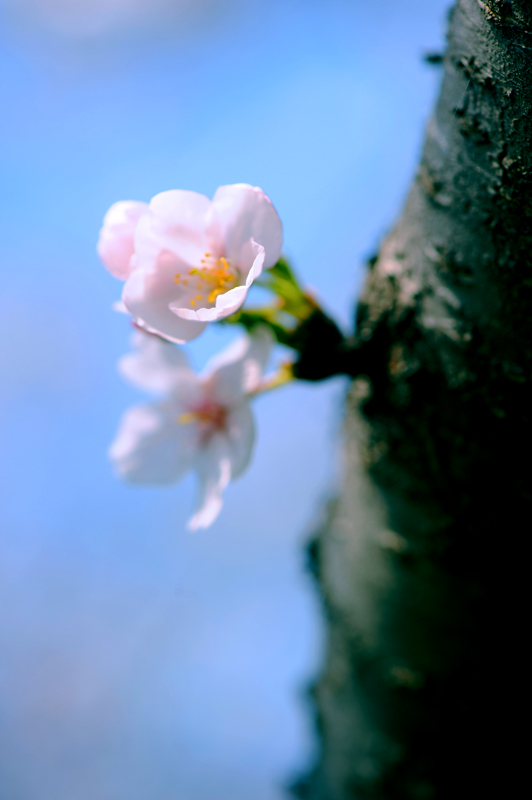 dsc_5737a.jpg