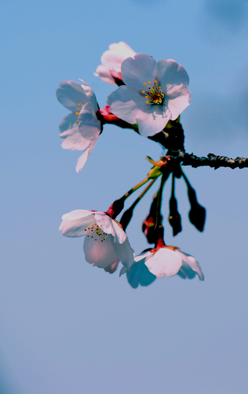 dsc_5738a.jpg