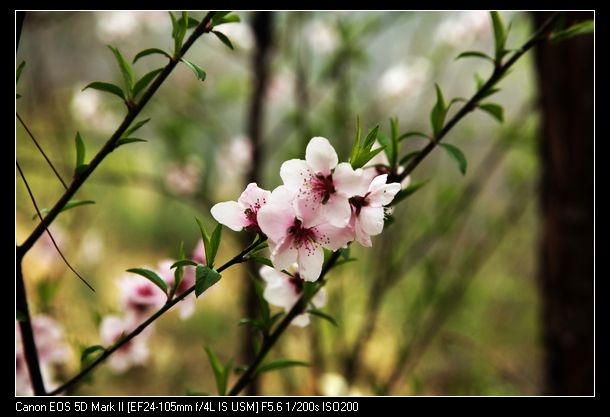 Ƭ 043.jpg