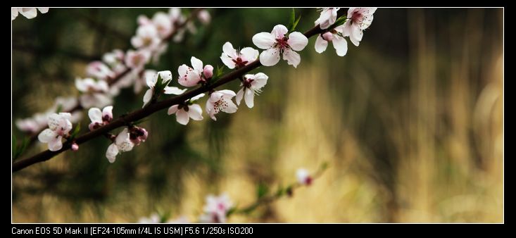 Ƭ 041.jpg
