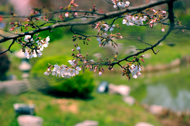 dsc_5739a.jpg