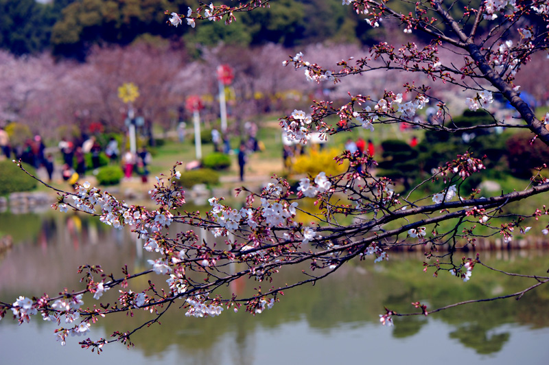 dsc_5740a.jpg