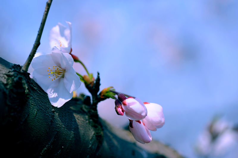 dsc_5741a.jpg