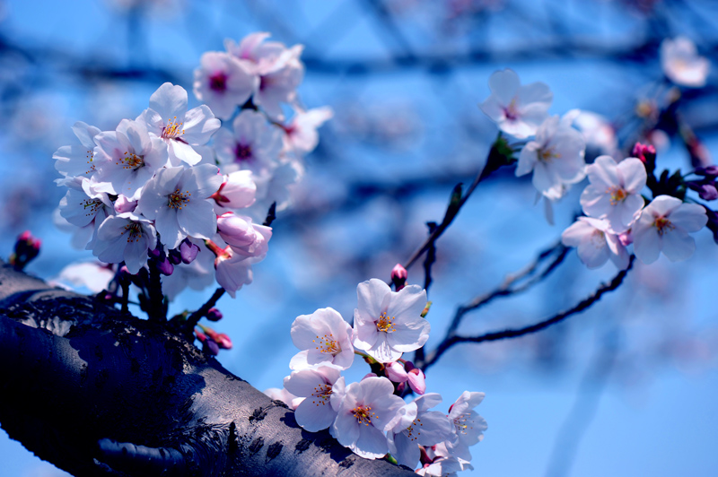 dsc_5742a.jpg