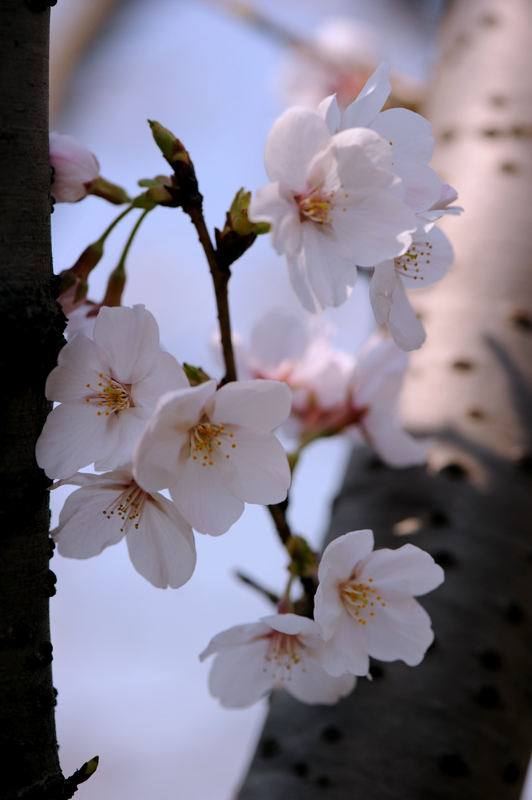 dsc_5745a.jpg
