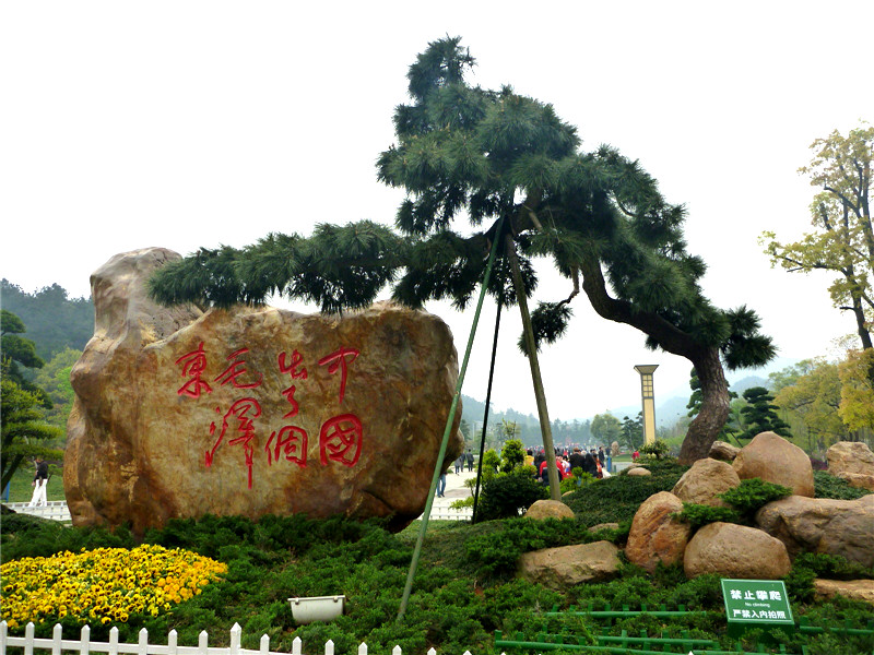p1050497_.jpg