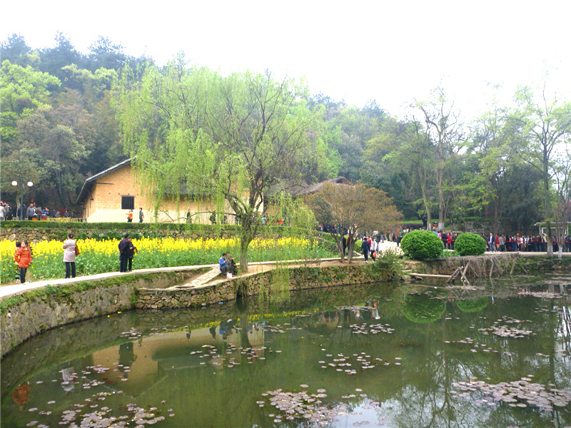 p1050491_.jpg