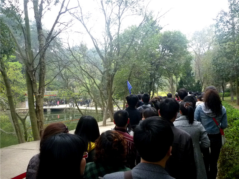 p1050455_.jpg