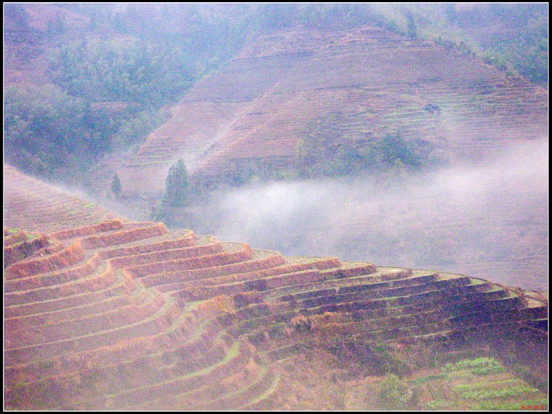 img020.jpg
