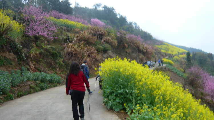 p1100928.jpg