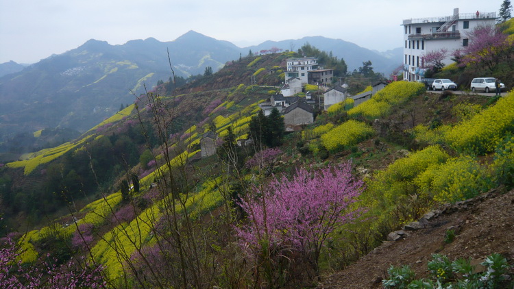 p1100944.jpg
