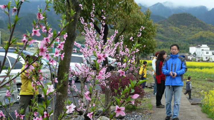 p1100887.jpg