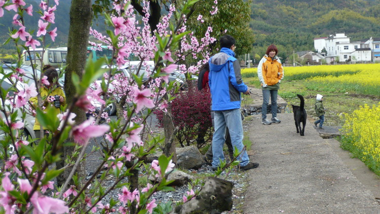 p1100883.jpg