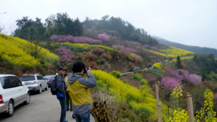 p1100920.jpg
