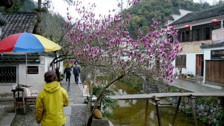 p1100861.jpg