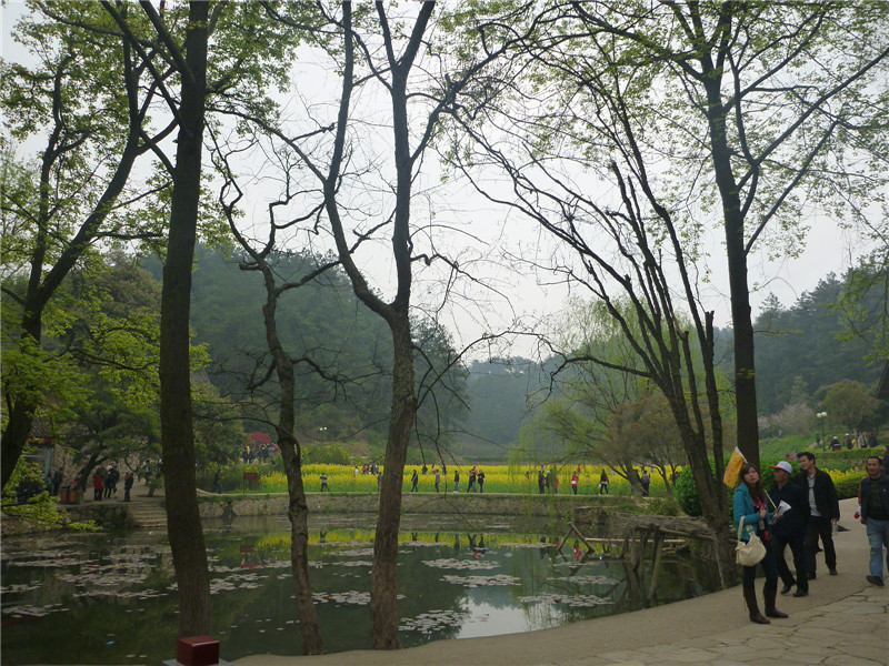 p1050459_.jpg