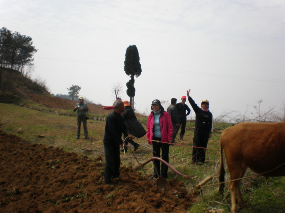 20110405_25.jpg