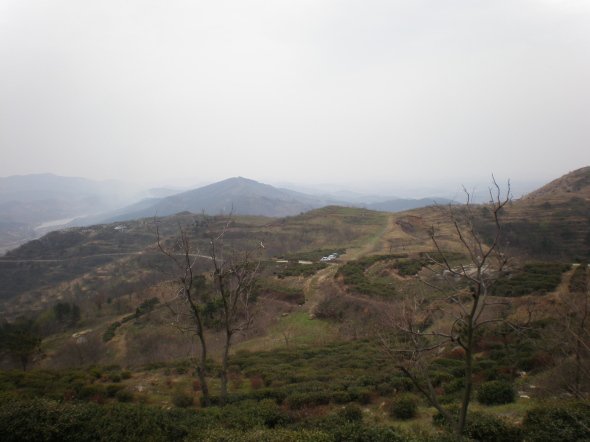 20110405_70.jpg