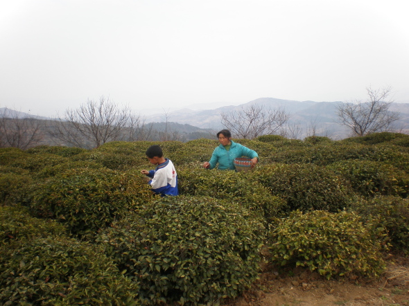 20110405_73.jpg