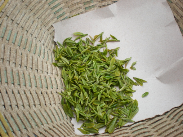 20110405_72.jpg