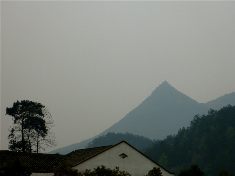 p1050543_.jpg